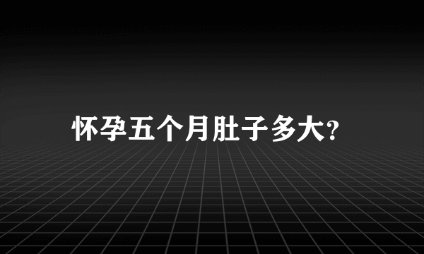 怀孕五个月肚子多大？