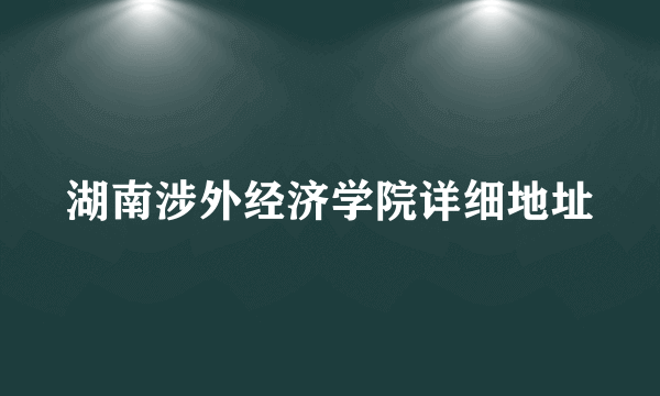 湖南涉外经济学院详细地址