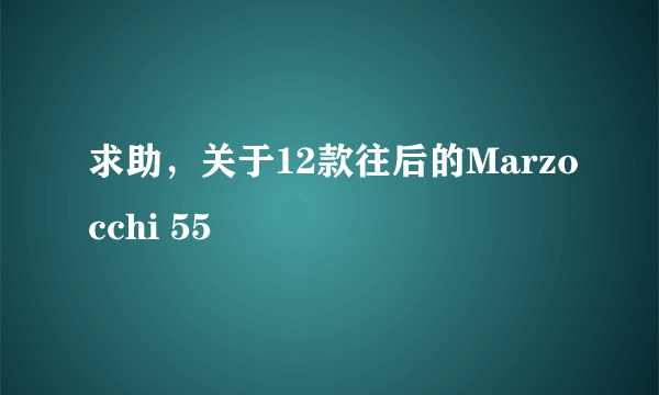 求助，关于12款往后的Marzocchi 55