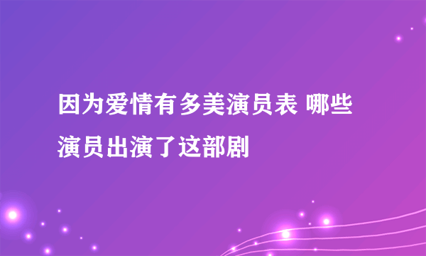 因为爱情有多美演员表 哪些演员出演了这部剧