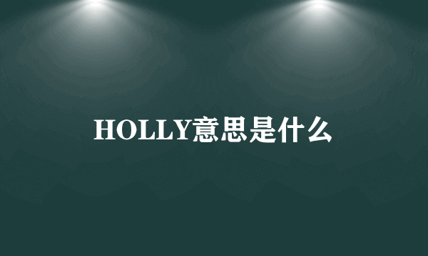 HOLLY意思是什么