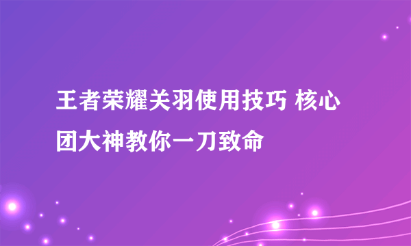 王者荣耀关羽使用技巧 核心团大神教你一刀致命