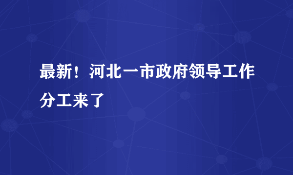 最新！河北一市政府领导工作分工来了