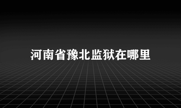 河南省豫北监狱在哪里