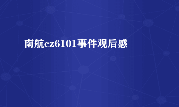 南航cz6101事件观后感