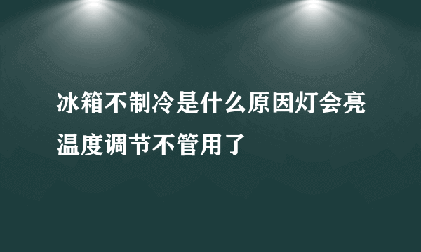 冰箱不制冷是什么原因灯会亮温度调节不管用了