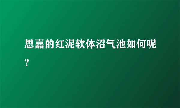 思嘉的红泥软体沼气池如何呢？