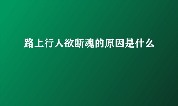 路上行人欲断魂的原因是什么