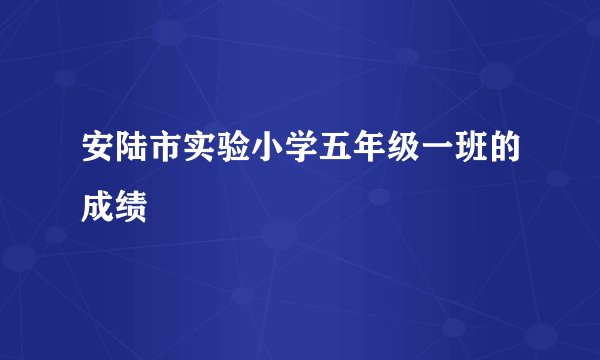 安陆市实验小学五年级一班的成绩