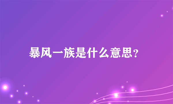 暴风一族是什么意思？