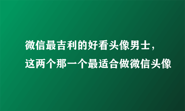 微信最吉利的好看头像男士，这两个那一个最适合做微信头像