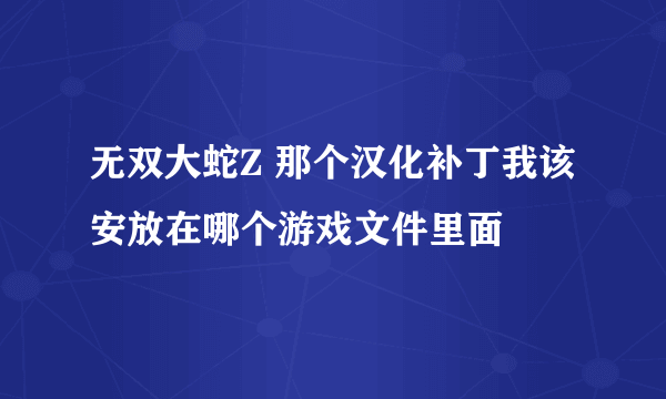 无双大蛇Z 那个汉化补丁我该安放在哪个游戏文件里面