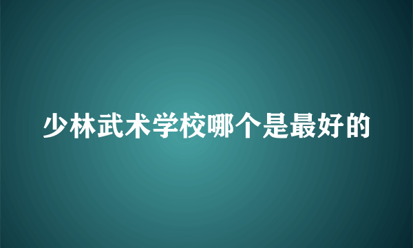 少林武术学校哪个是最好的