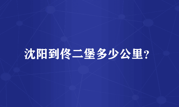 沈阳到佟二堡多少公里？