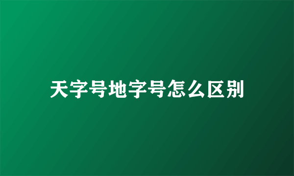 天字号地字号怎么区别