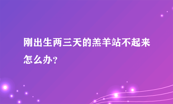 刚出生两三天的羔羊站不起来怎么办？