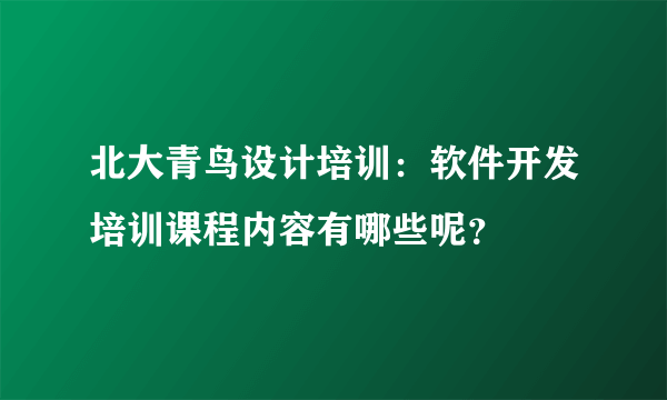 北大青鸟设计培训：软件开发培训课程内容有哪些呢？