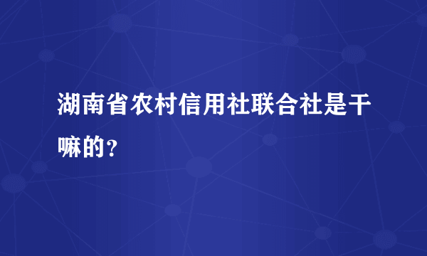 湖南省农村信用社联合社是干嘛的？