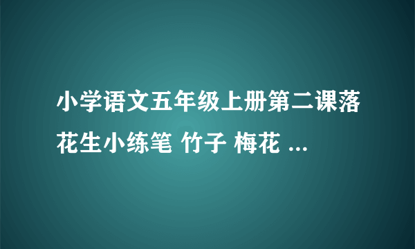 小学语文五年级上册第二课落花生小练笔 竹子 梅花 蜜蜂 路灯