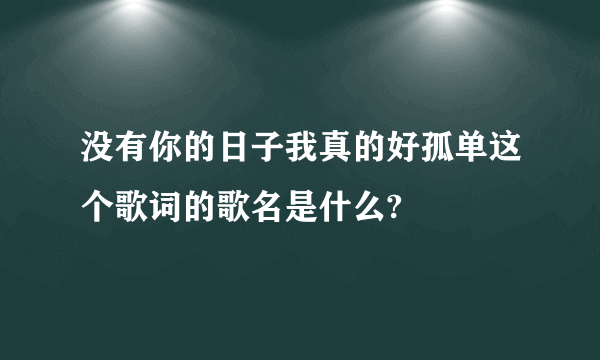 没有你的日子我真的好孤单这个歌词的歌名是什么?