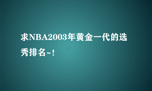 求NBA2003年黄金一代的选秀排名~！