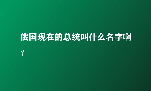 俄国现在的总统叫什么名字啊？