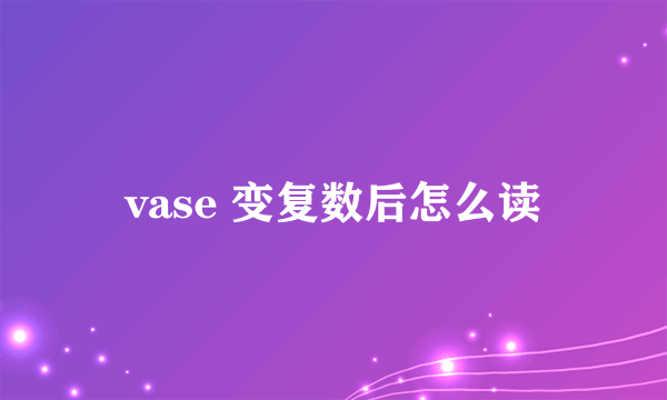 vase 变复数后怎么读