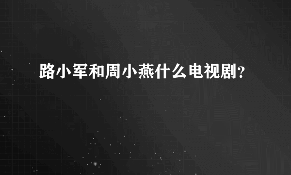 路小军和周小燕什么电视剧？