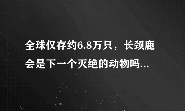 全球仅存约6.8万只，长颈鹿会是下一个灭绝的动物吗？我们真的正在经历第六次物种灭绝吗？