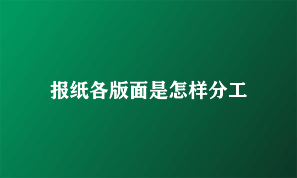 报纸各版面是怎样分工