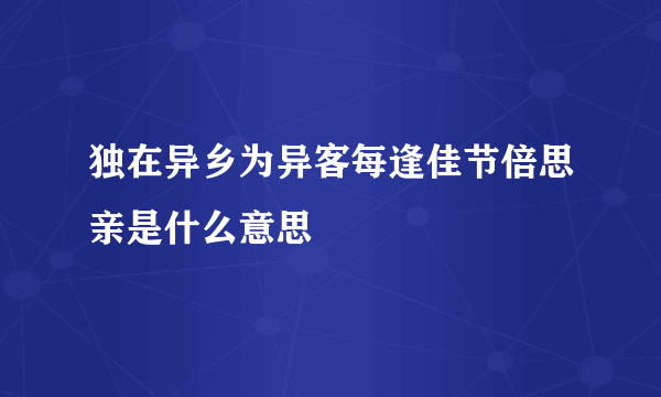 独在异乡为异客每逢佳节倍思亲是什么意思