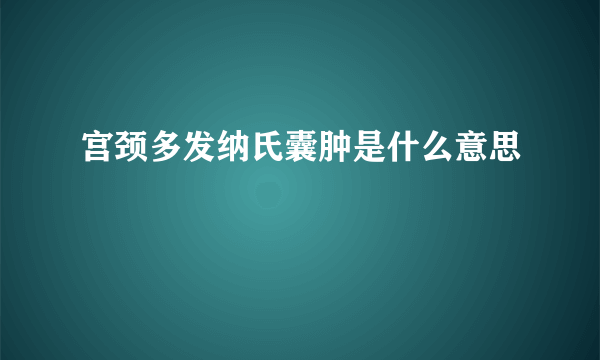 宫颈多发纳氏囊肿是什么意思