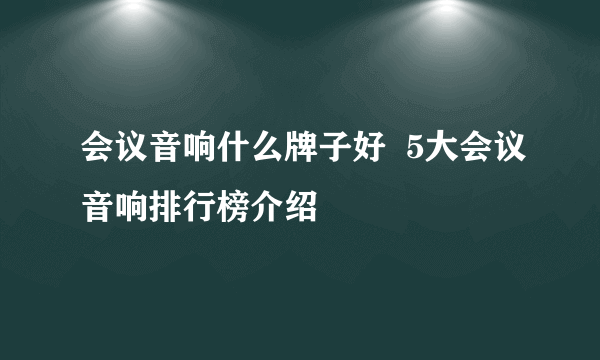 会议音响什么牌子好  5大会议音响排行榜介绍