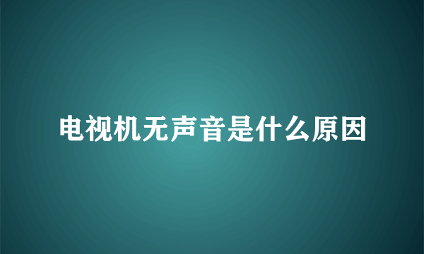 电视机无声音是什么原因