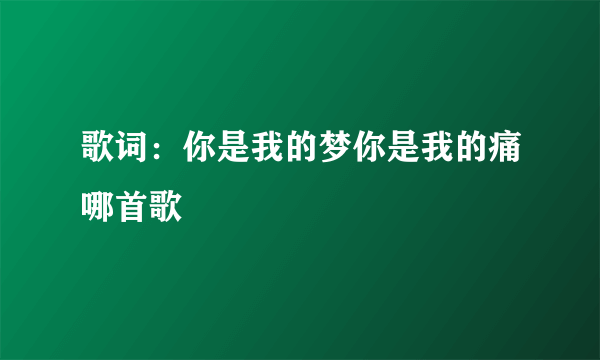 歌词：你是我的梦你是我的痛哪首歌