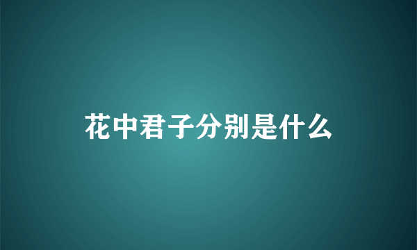 花中君子分别是什么