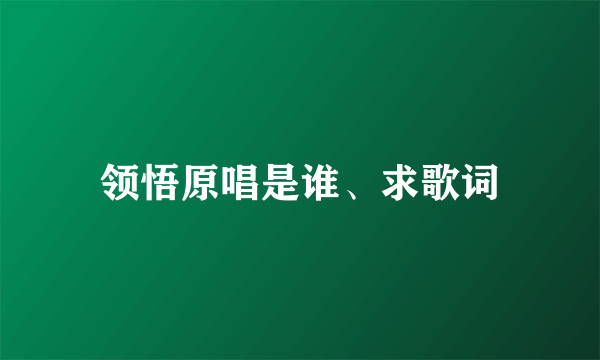 领悟原唱是谁、求歌词