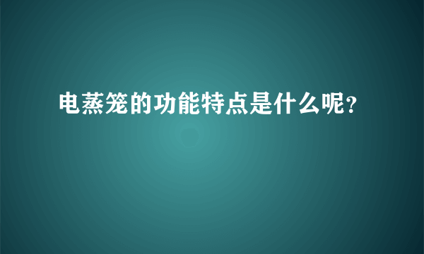 电蒸笼的功能特点是什么呢？