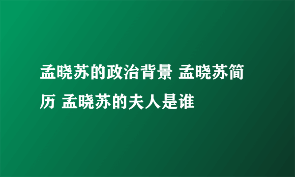 孟晓苏的政治背景 孟晓苏简历 孟晓苏的夫人是谁