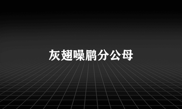 灰翅噪鹛分公母