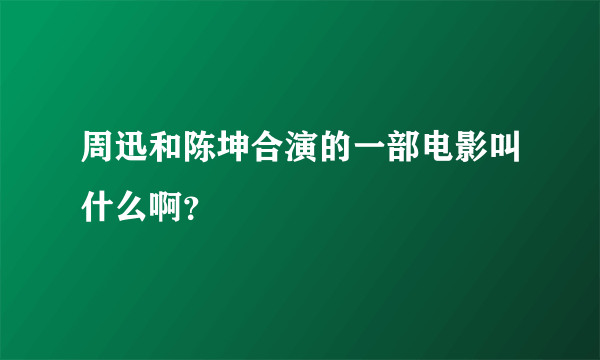 周迅和陈坤合演的一部电影叫什么啊？