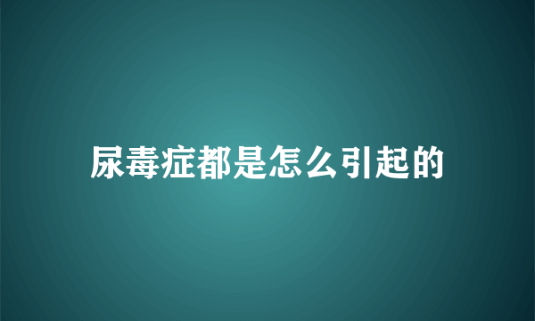 尿毒症都是怎么引起的