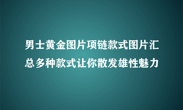 男士黄金图片项链款式图片汇总多种款式让你散发雄性魅力