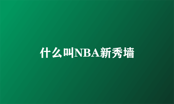 什么叫NBA新秀墙