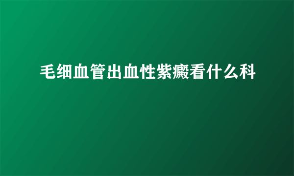 毛细血管出血性紫癜看什么科