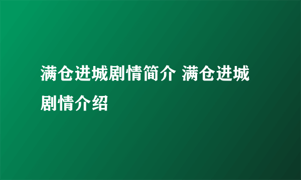 满仓进城剧情简介 满仓进城剧情介绍