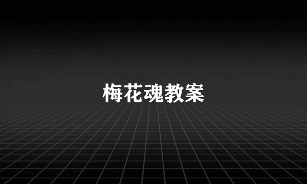 梅花魂教案