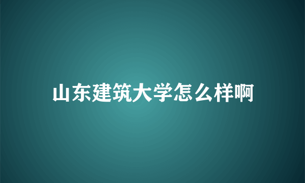 山东建筑大学怎么样啊