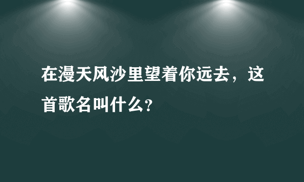 在漫天风沙里望着你远去，这首歌名叫什么？