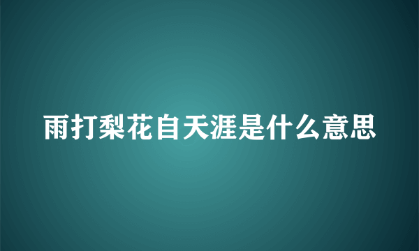 雨打梨花自天涯是什么意思